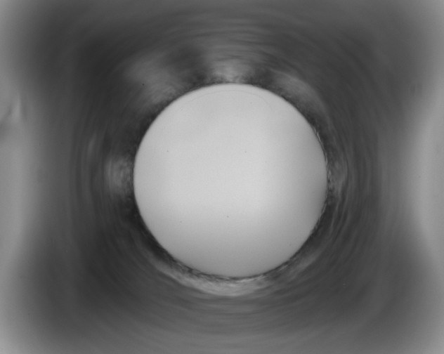 X0000084030036200703092019