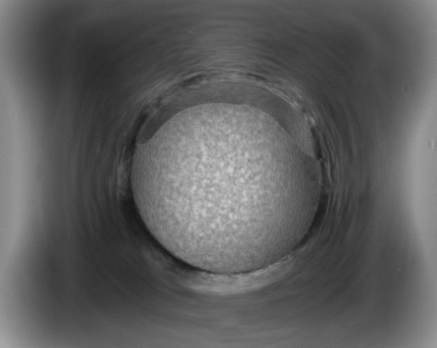 X0000084030037200703092019