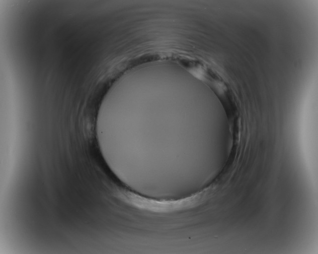 X0000084030039200703092019