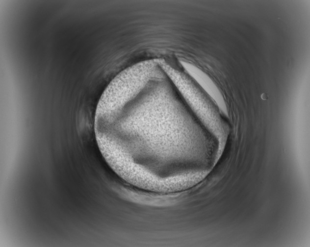 X0000084030040200703092019