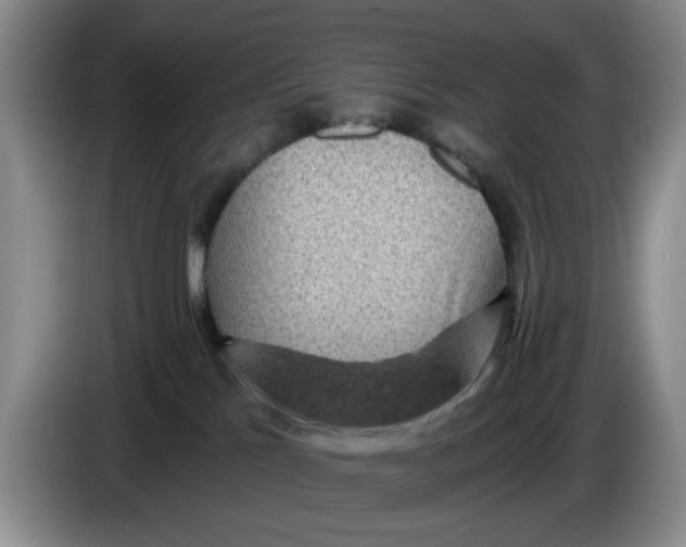 X0000084030041200703092019