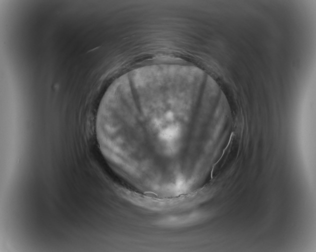 X0000084030043200703092019