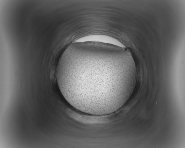 X0000084030044200703092019