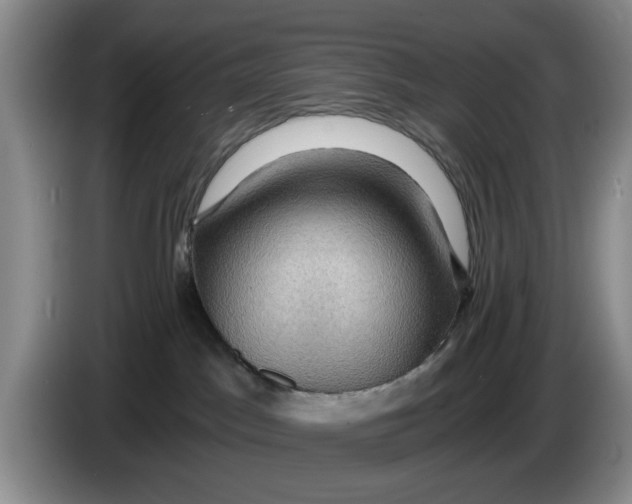 X0000084030045200703092019