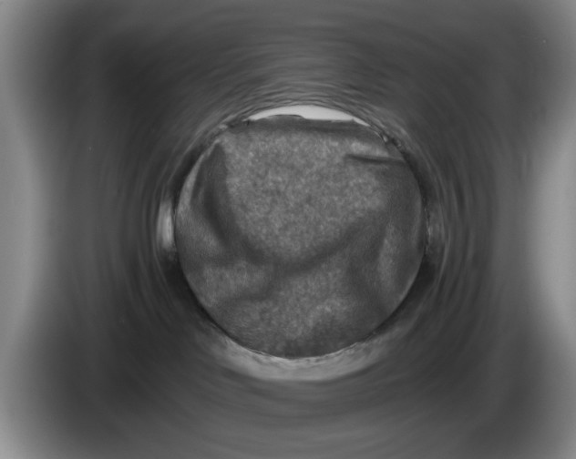 X0000084030046200703092019