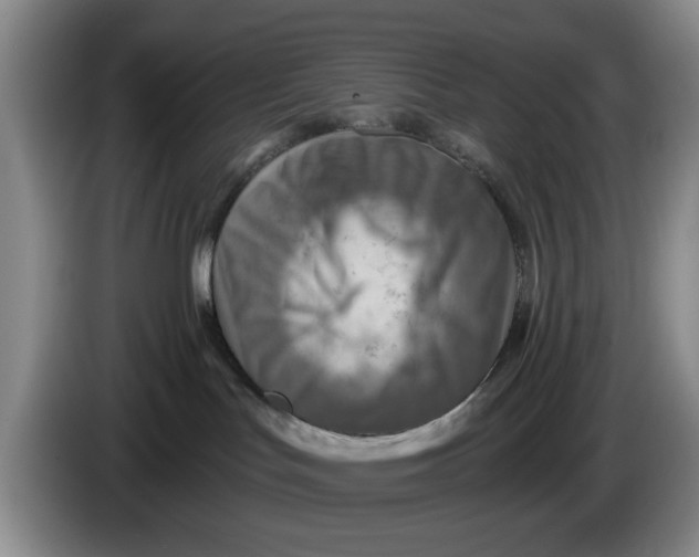 X0000084030047200703092019