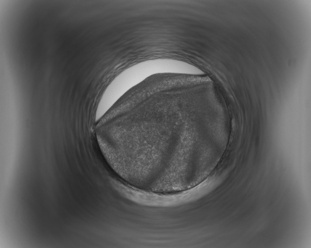 X0000084030048200703092019