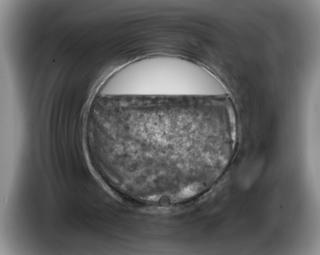 X0000084030049200703092018