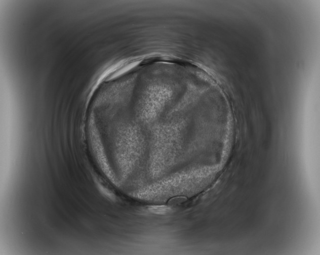 X0000084030050200703092018