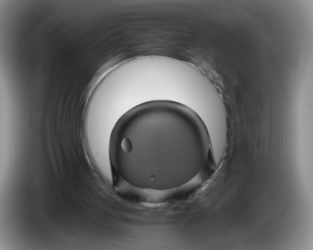 X0000084030051200703092018