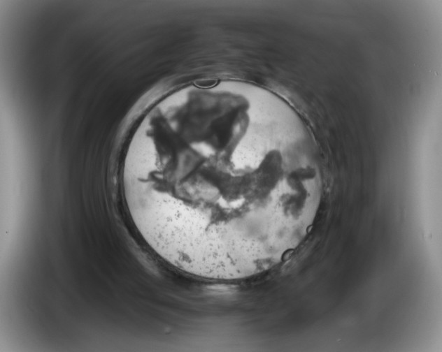 X0000084030053200703092018