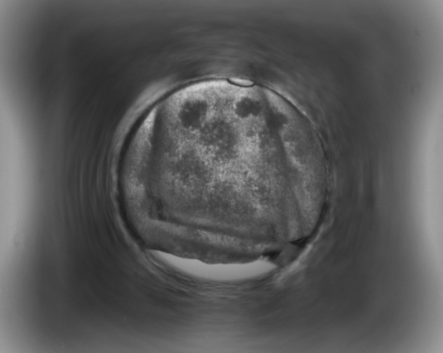 X0000084030055200703092019