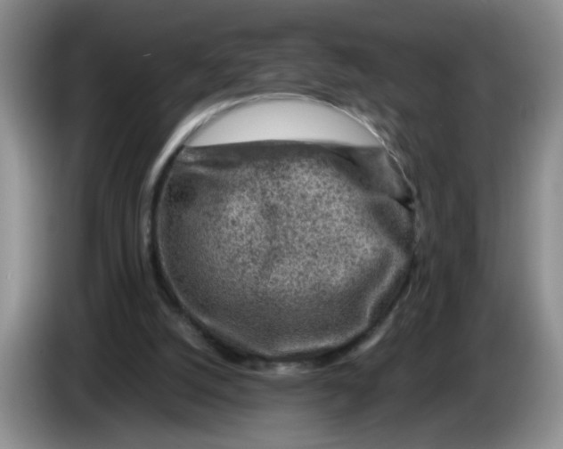 X0000084030056200703092019