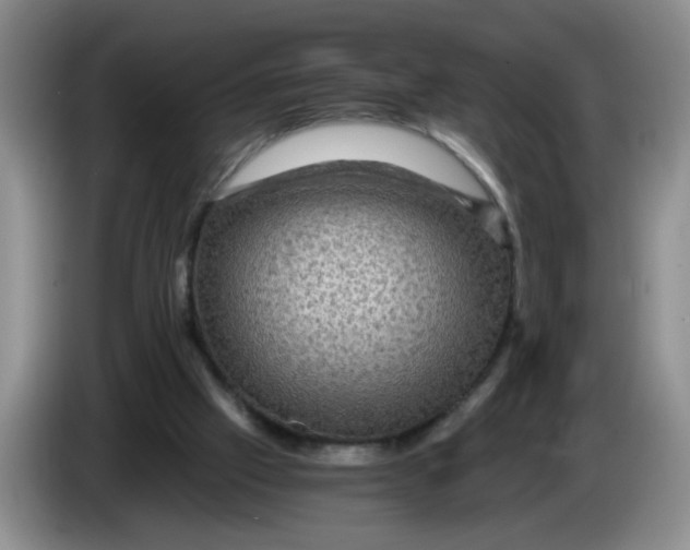 X0000084030057200703092019