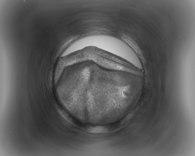 X0000084030058200703092019