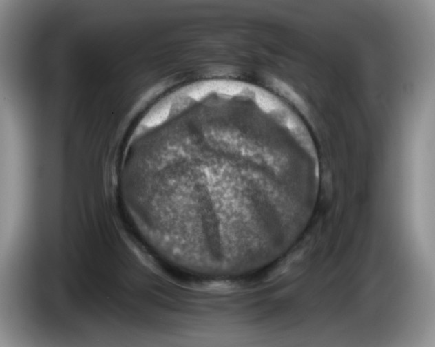 X0000084030059200703092019