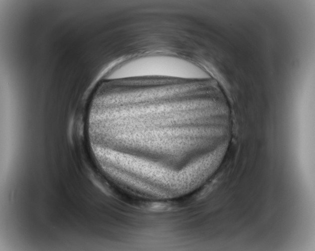 X0000084030060200703092019