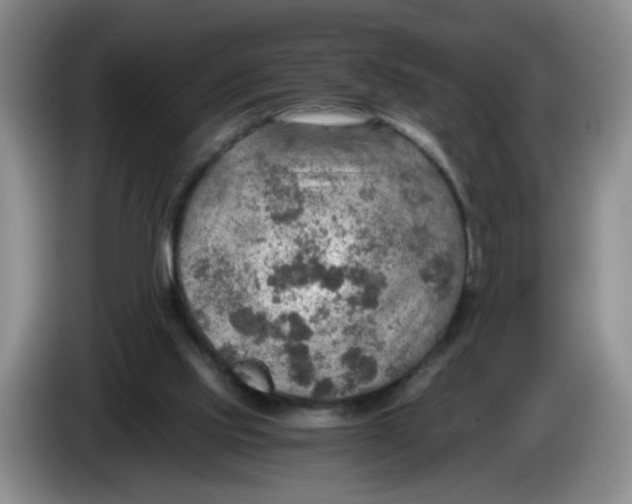 X0000084030061200703092019