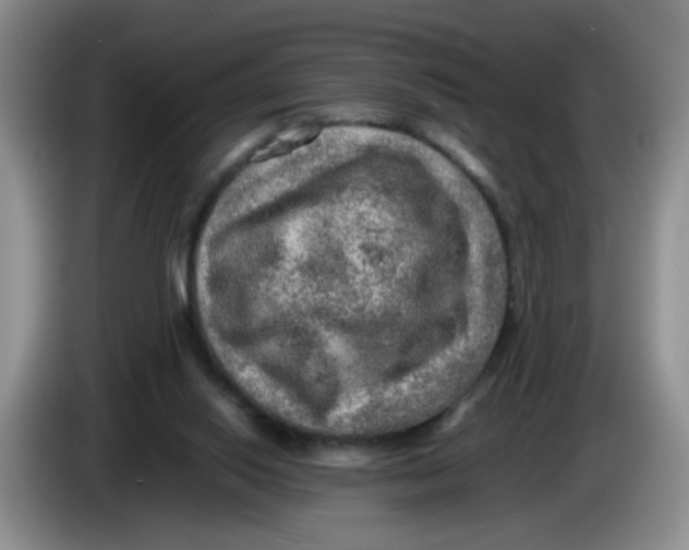 X0000084030062200703092019