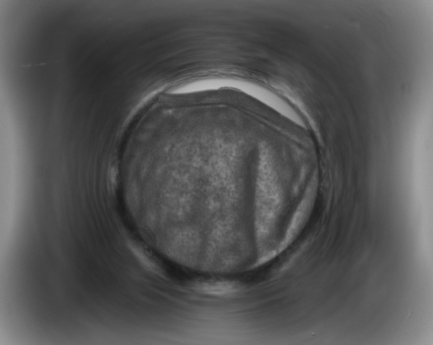 X0000084030063200703092019