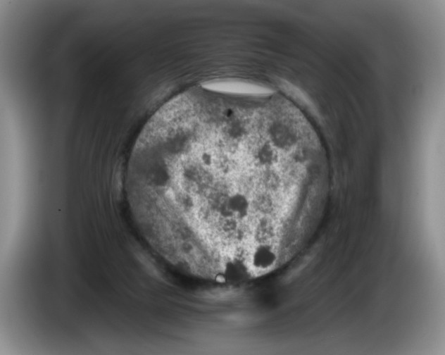 X0000084030065200703092019