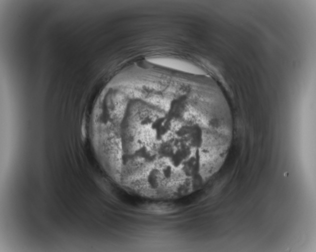 X0000084030069200703092019