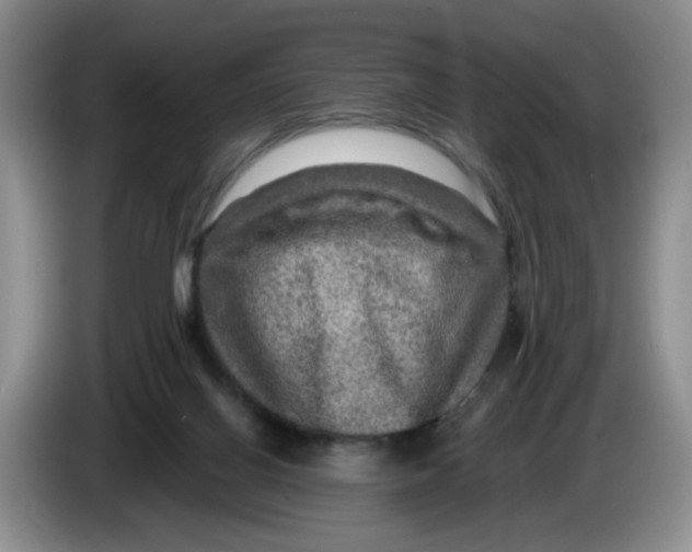 X0000084030070200703092019