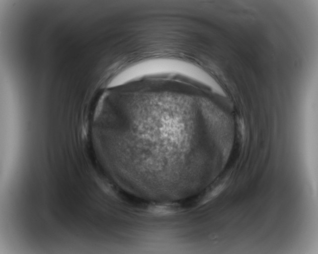 X0000084030072200703092019