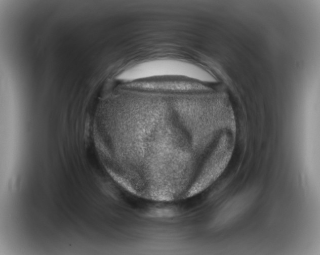 X0000084030073200703092019