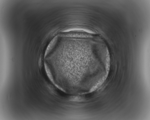 X0000084030074200703092019