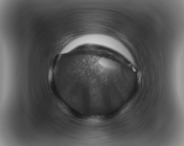 X0000084030076200703092019