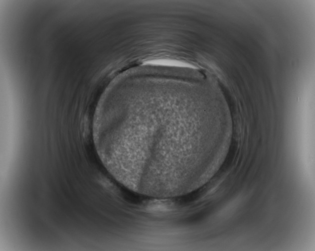 X0000084030077200703092019