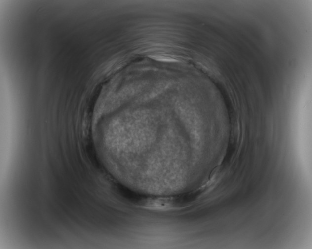 X0000084030078200703092019