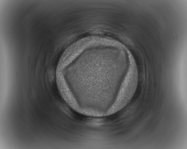 X0000084030081200703092019