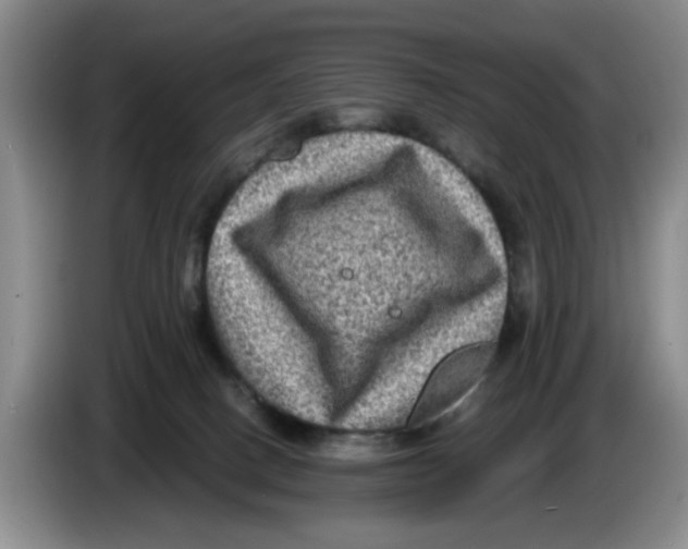 X0000084030082200703092019