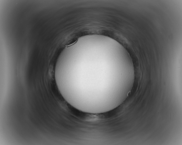 X0000084030083200703092019