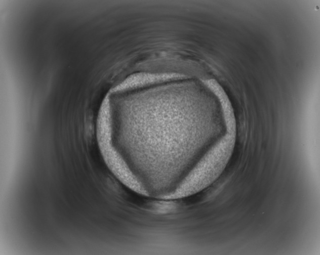 X0000084030085200703092019