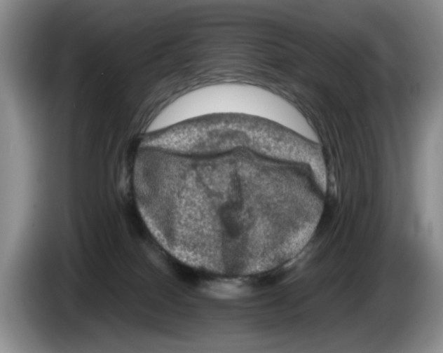 X0000084030086200703092019