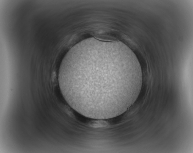 X0000084030087200703092019