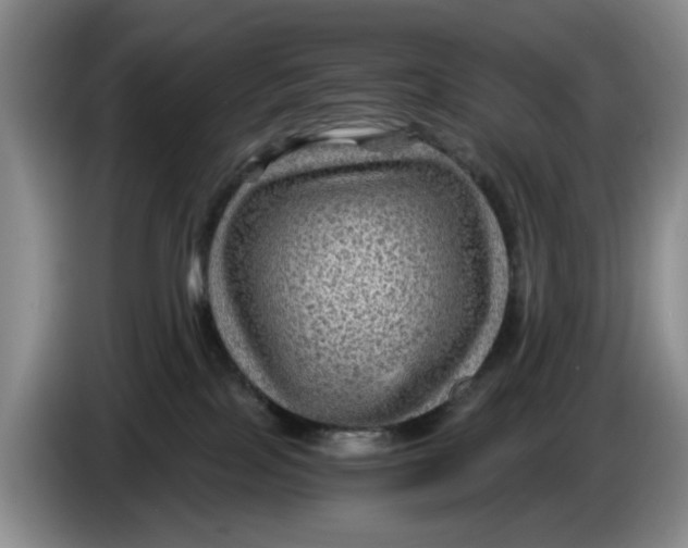 X0000084030089200703092019