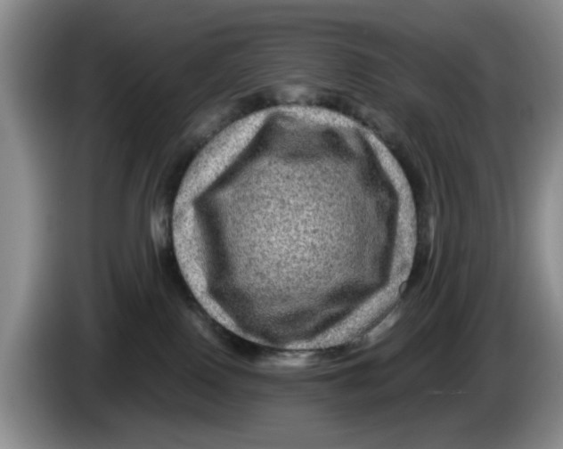 X0000084030090200703092019