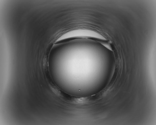 X0000084030092200703092019