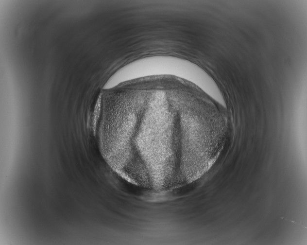 X0000084030093200703092019