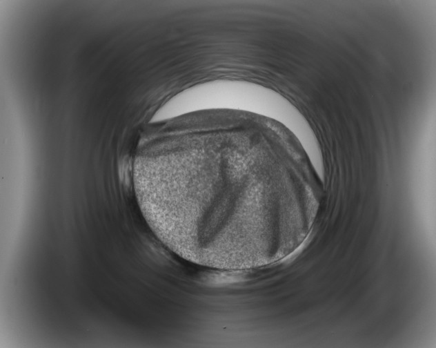 X0000084030094200703092019