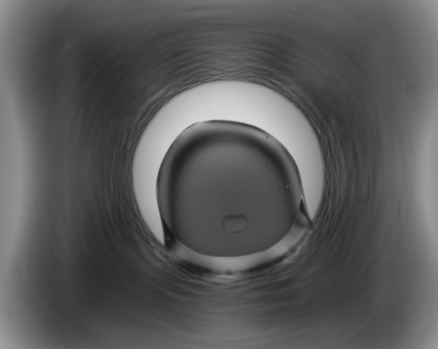 X0000084030095200703092019