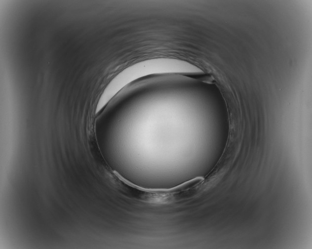 X0000084030096200703092019