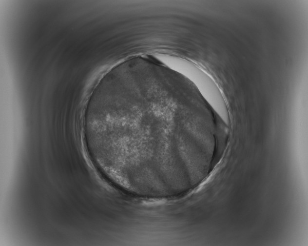 X0000084030097200703092018