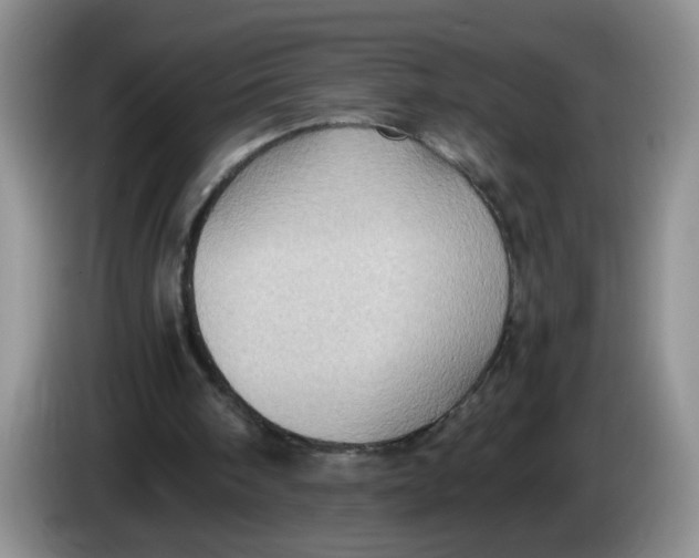 X0000084030098200703092018