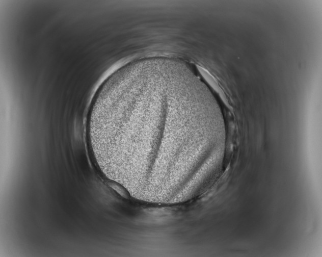 X0000084030100200703092018