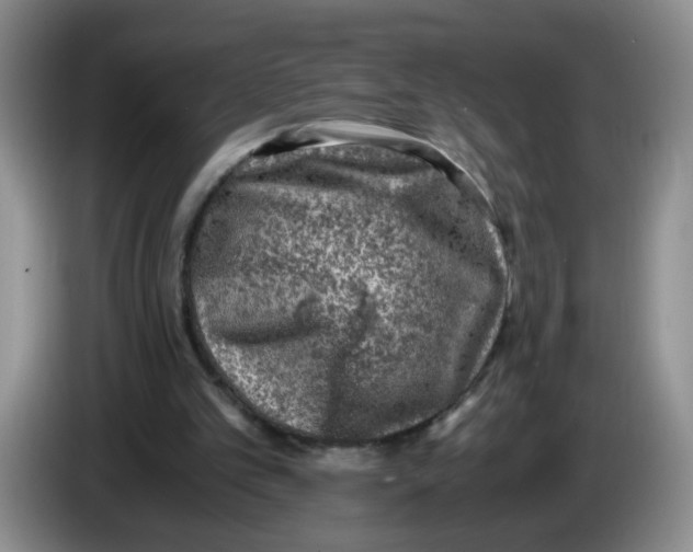 X0000084030101200703092018